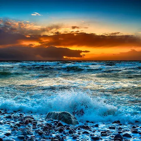 Lagunen ビューズム